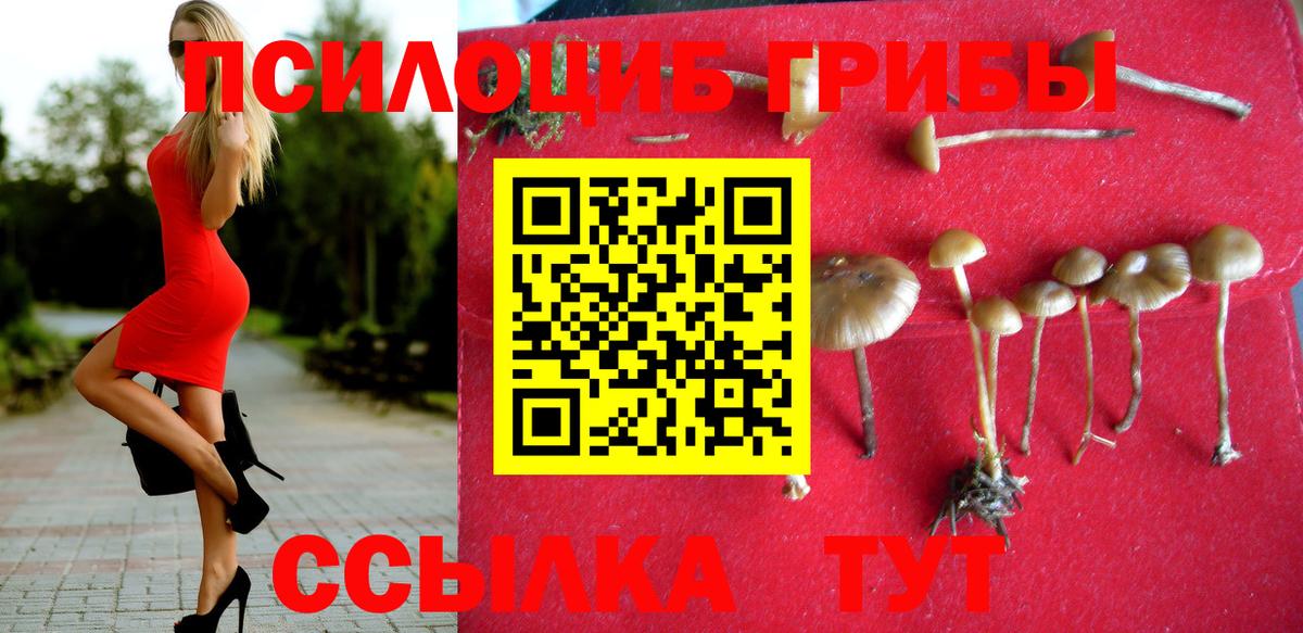 Псилоцибиновые грибы Magic Shrooms  Вход с VPN  Куйбышев  Псилоцибиновые грибы прущие грибы 
